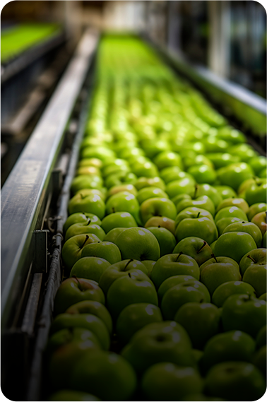 Industria de Alimentos